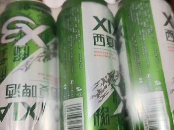 西夏啤酒令人欣喜