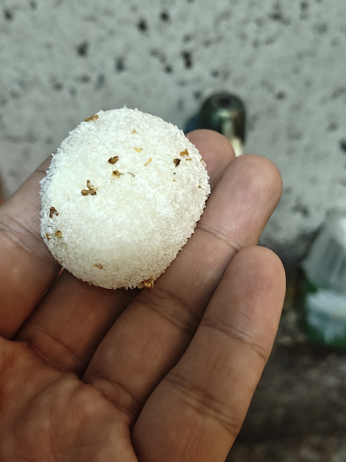 索菲亚冰淇淋/雪糕