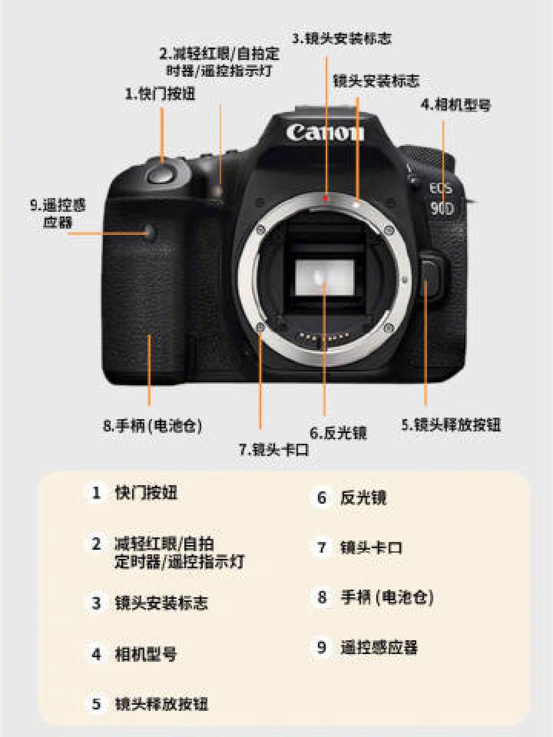 相机选购与摄影技巧全攻略，佳能、尼康、索尼、富士入门指南