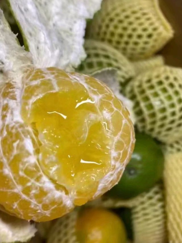 皇帝柑皇帝柑，哪个皇帝爱吃柑？