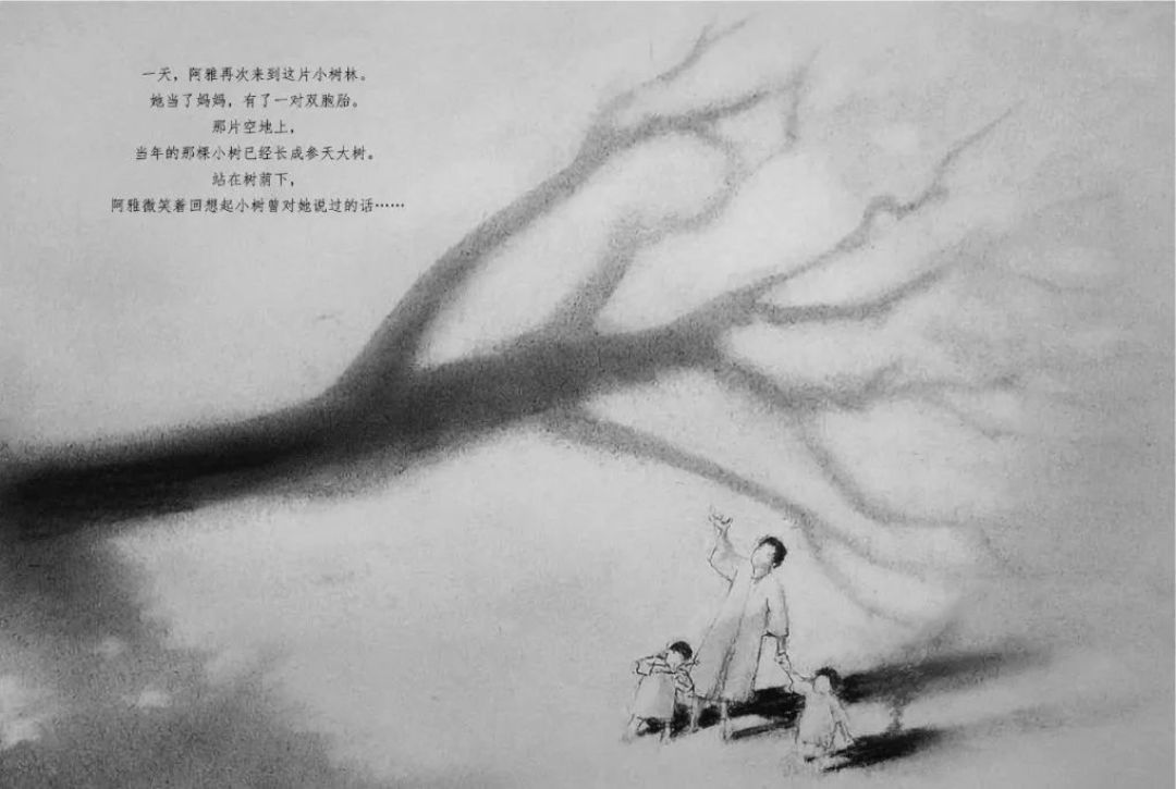怕自己没有拼尽全力,又怕自己用力过度。给杨志成先生当编辑是什么感受?
