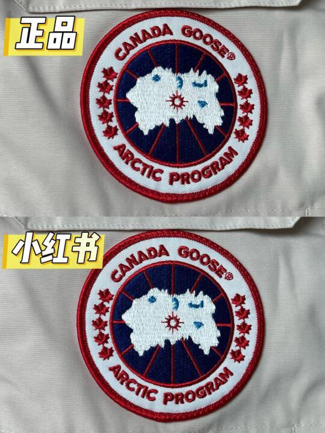 如何根据气候条件挑选最适合你的加拿大鹅羽绒服