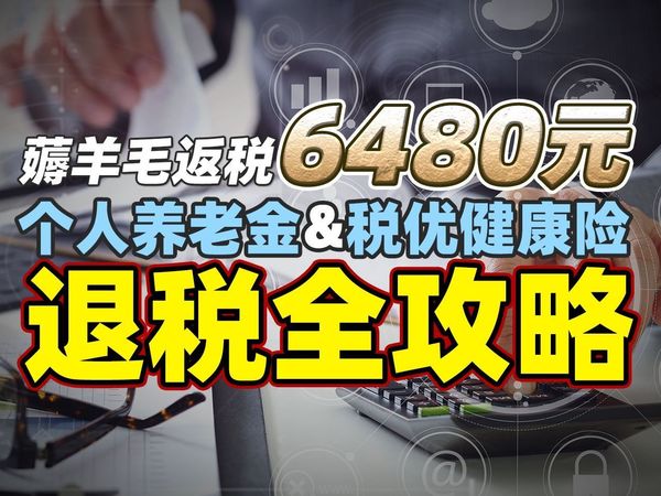 薅羊毛返税 6480 元，个人养老金&税优健康险退税全攻略！