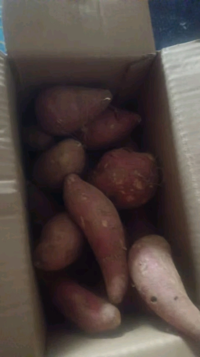 蔬菜