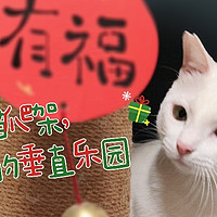 小猫们的新年礼物：这个爬架终于做好了！