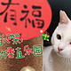 小猫们的新年礼物：这个爬架终于做好了！