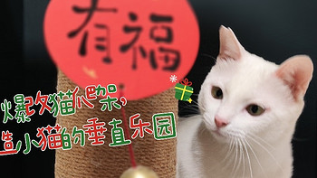 小猫们的新年礼物：这个爬架终于做好了！