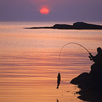 每天了解一项运动：钓鱼🎣