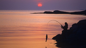 每天了解一项运动：钓鱼🎣