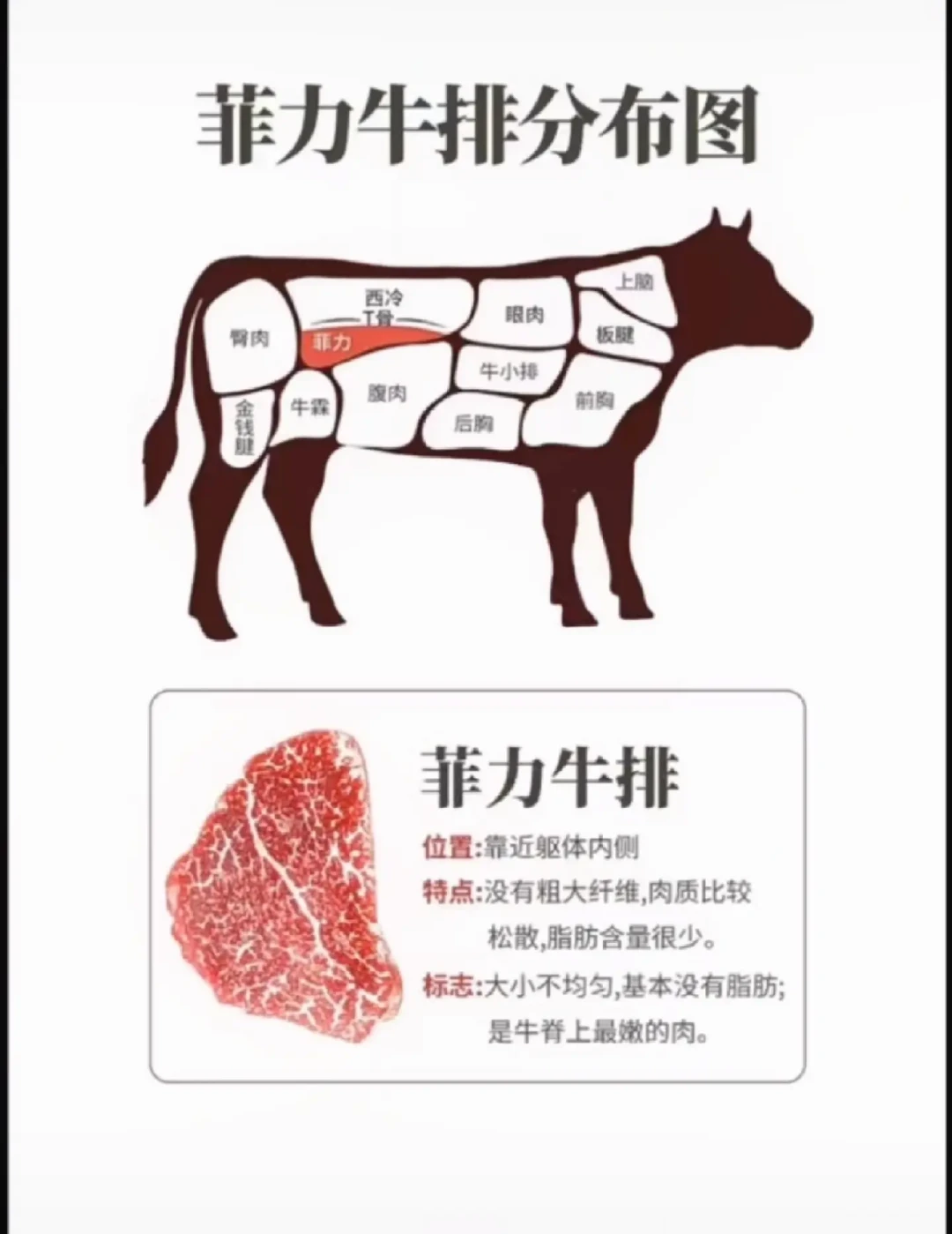 精选内容集|牛肉部位大揭秘煎烤炖煮窍门大不同 享受不同部位的美味