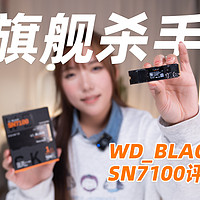 西部数据WD_BLACK SN7100固态硬盘评测