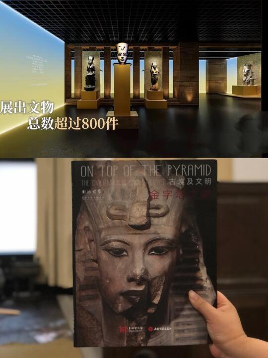 先别着急去，上博埃及大展图录就是最佳攻略！