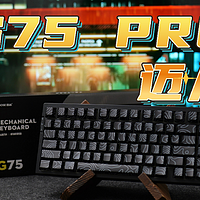 美观又实用丨迈从G75 Pro 等高线｜糖妹测