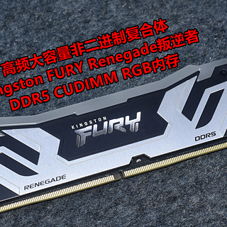 CUDIMM内存标杆Kingston FURY叛逆者DDR5 CUDIMM内存体验