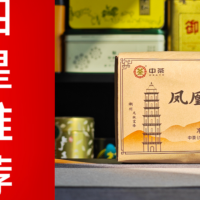 中茶的凤凰单丛怎么样？中茶凤凰单丛蜜兰香品鉴 一日一茶 NO.352