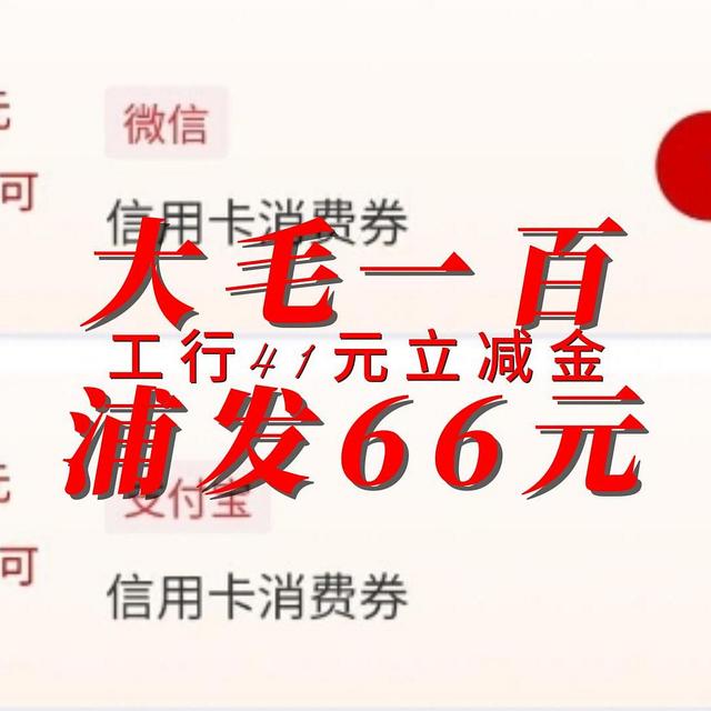 大毛 工行41元 浦发66元 立减金 刷卡金