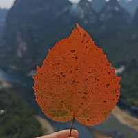 我的兴趣爱好之一~爬山