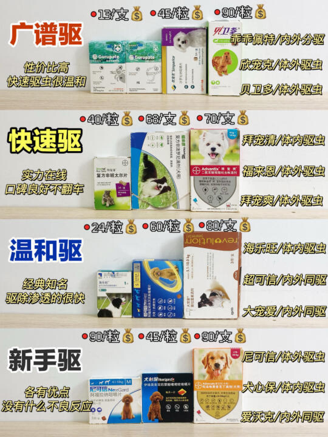精选内容集|狗狗驱虫真相篇,用科学养宠确保狗狗健康快乐