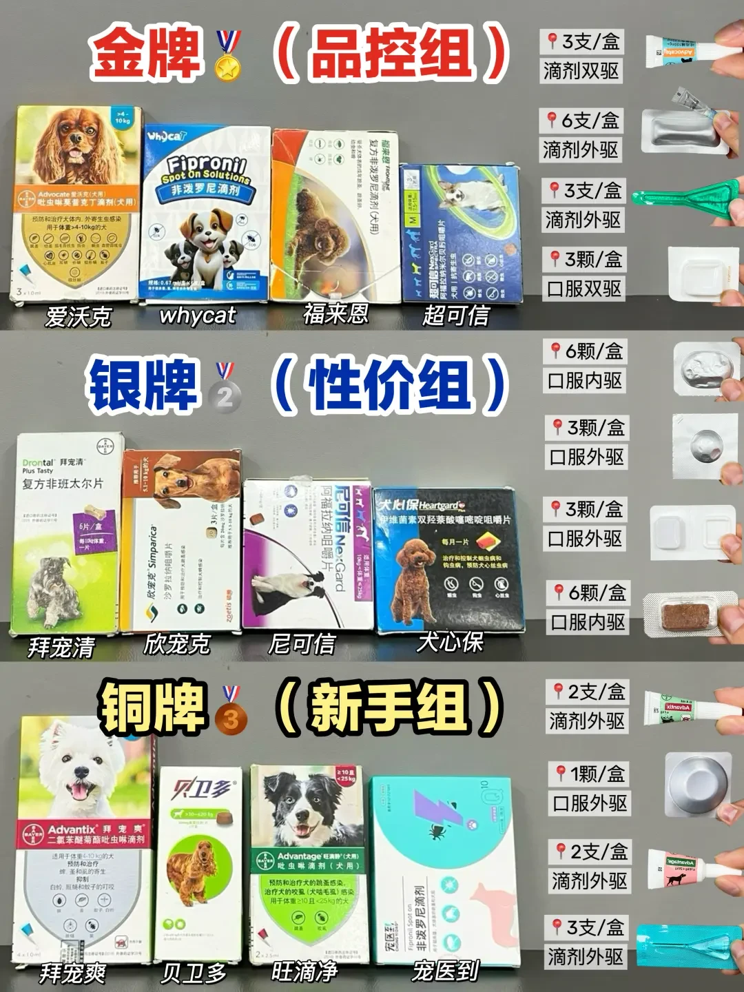 精选内容集|狗狗驱虫真相篇,用科学养宠确保狗狗健康快乐