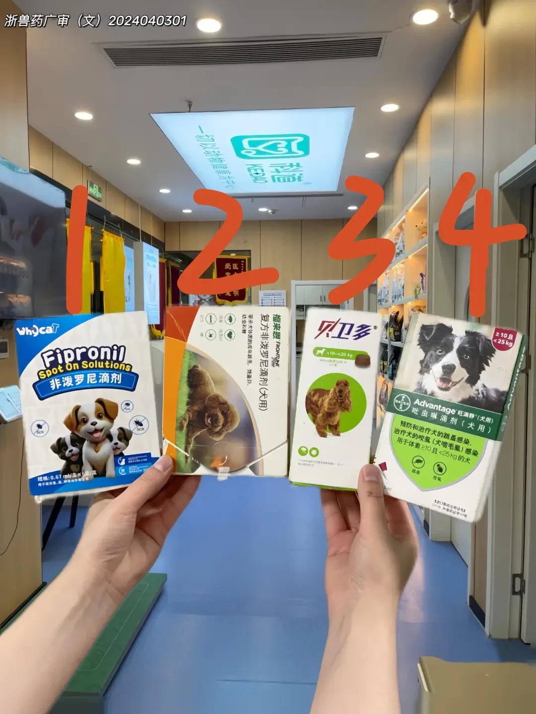 精选内容集|狗狗驱虫真相篇,用科学养宠确保狗狗健康快乐