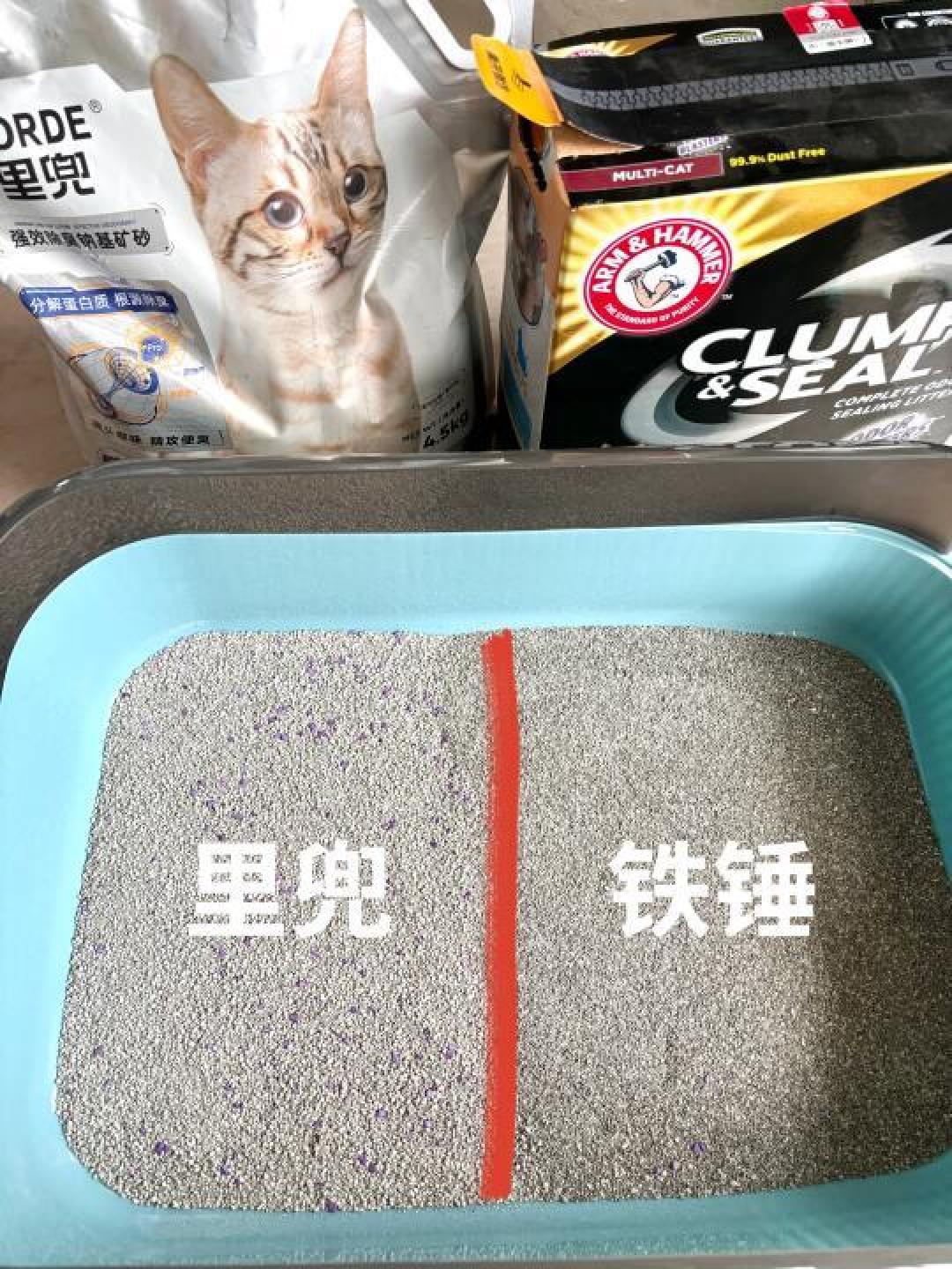 精选内容集|猫砂大比拼,找出最合适的除臭猫砂产品