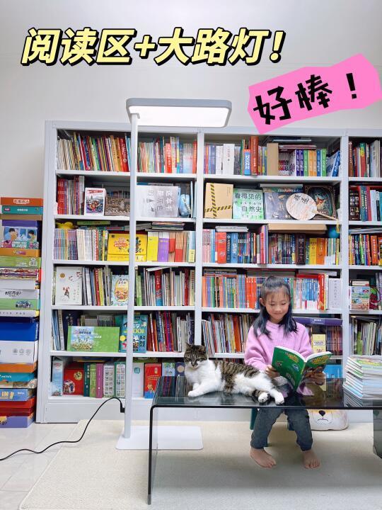 小学生真的需要这样的家庭阅读区！