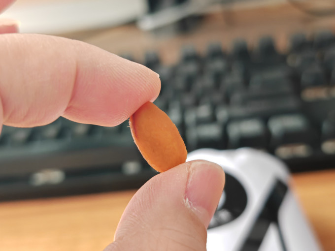 小小的我蜜饯果脯