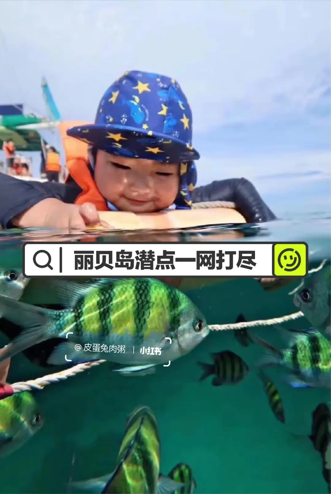精选内容集|全球知名潜水胜地震撼揭,秘探索海底奇幻世界