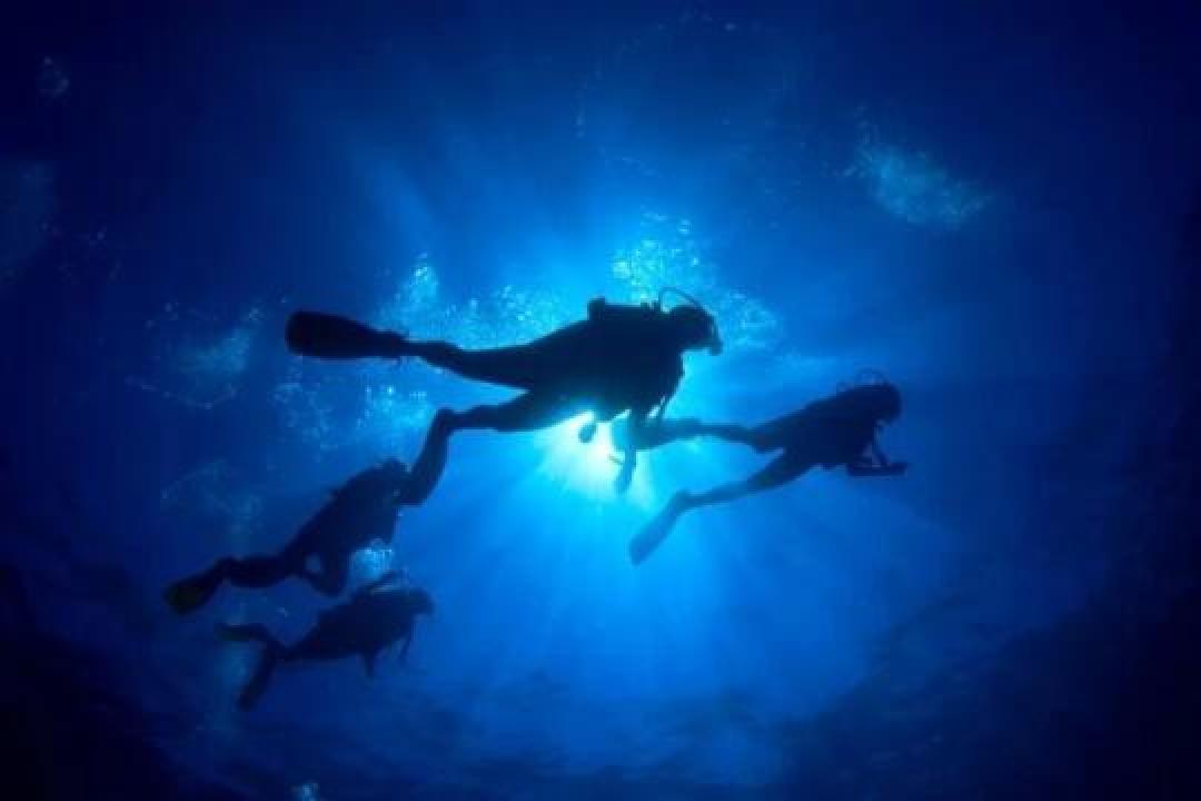 精选内容集|全球知名潜水胜地震撼揭,秘探索海底奇幻世界