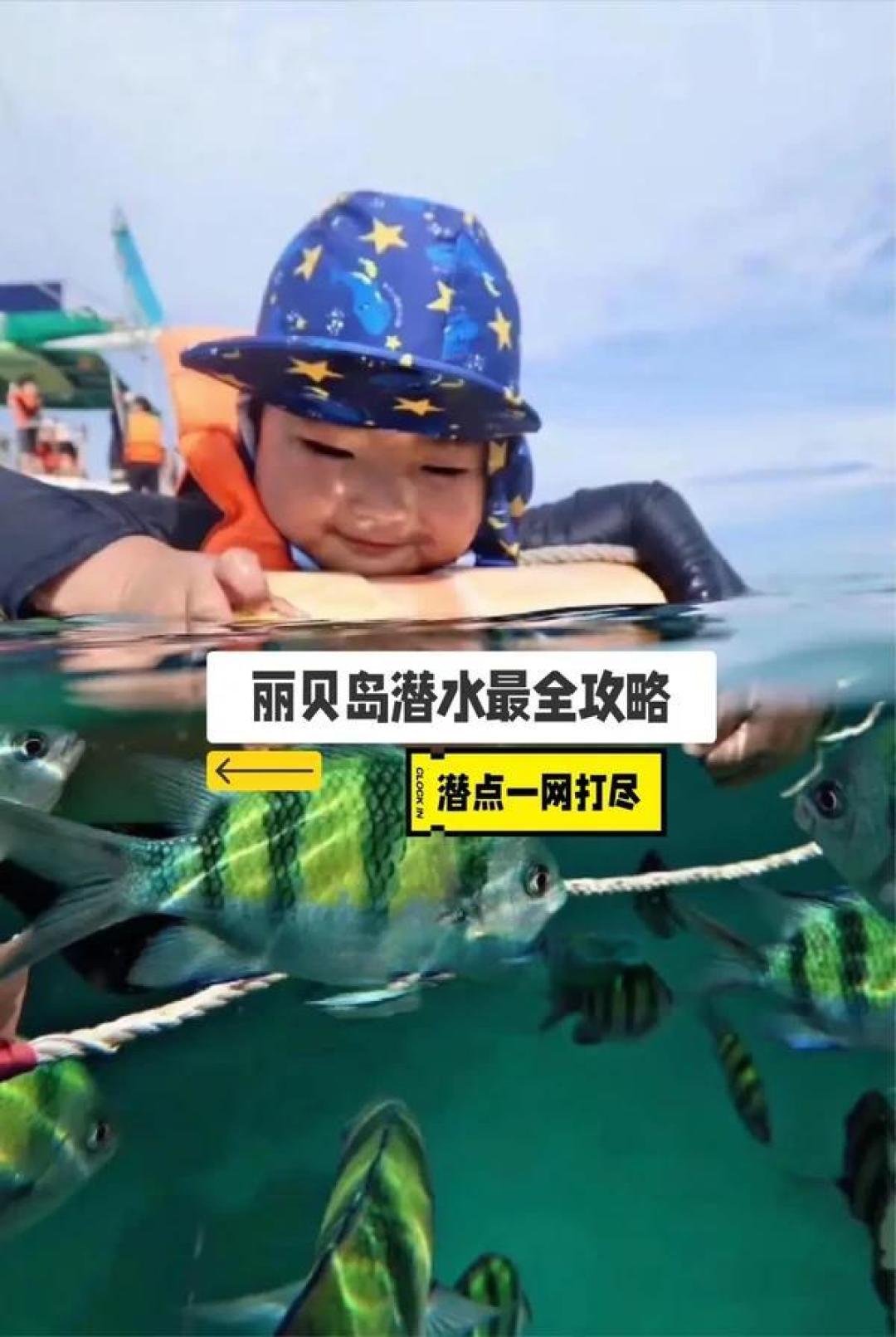 精选内容集|全球知名潜水胜地震撼揭,秘探索海底奇幻世界