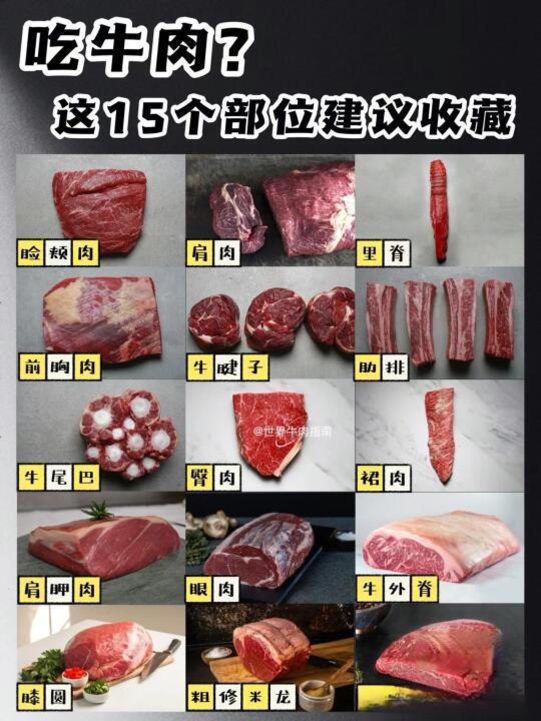 精选内容集|牛肉部位大揭秘煎烤炖煮窍门大不同 享受不同部位的美味