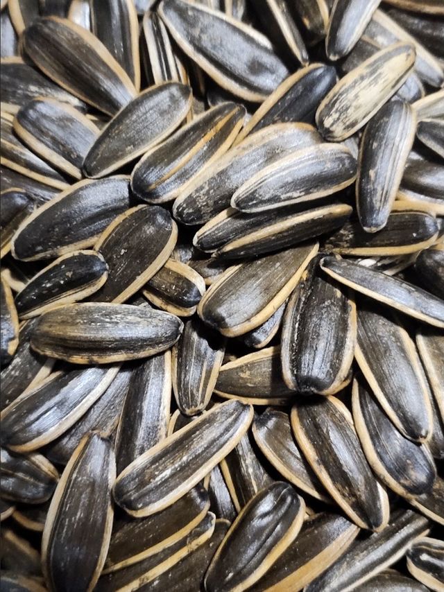 美味瓜子，让你爱不释手，磕不停手！