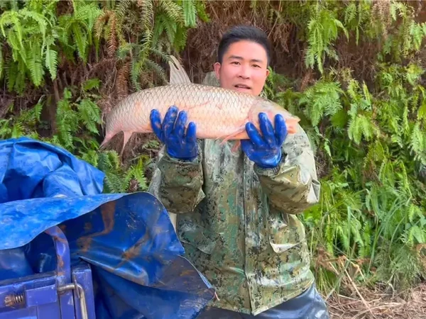 今天给鱼塘安装了一个摄像头，以后可以随时观察鱼塘的情况 #海康威视4G高清摄像头 #太阳能监控 #户外监控 #安防监控