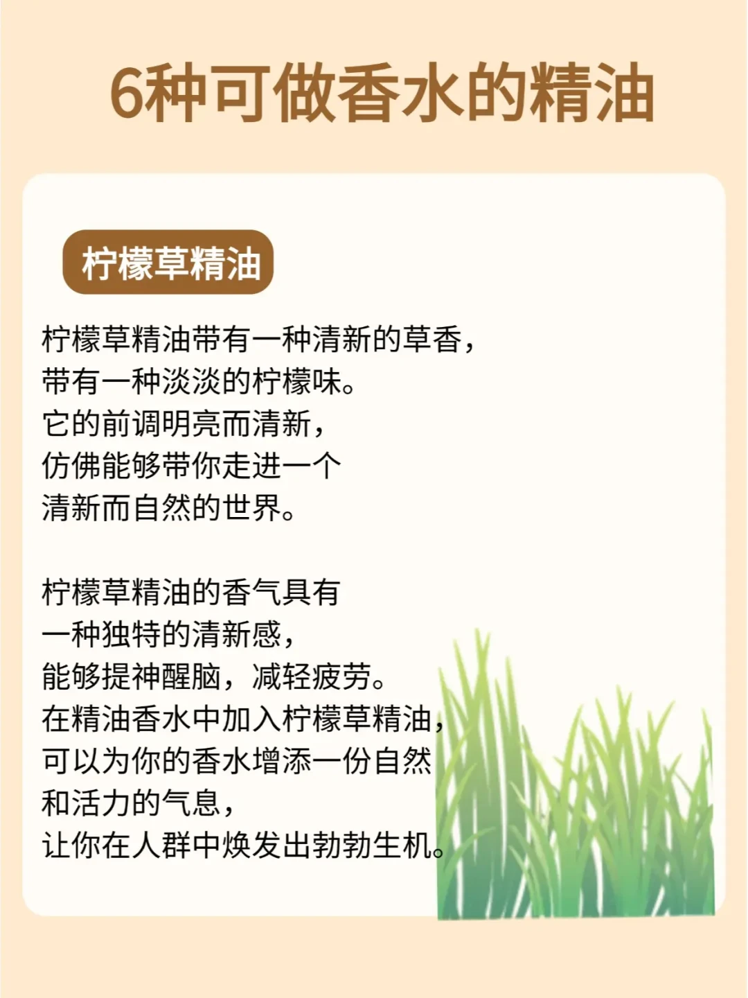 前调：开启迷人香气之旅的关键，如何找到适配你的那一款？