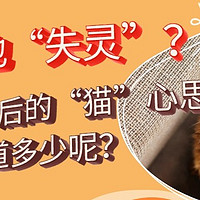 猫砂盆也“失灵”？猫咪乱拉背后的“猫”心思你知道多少呢？