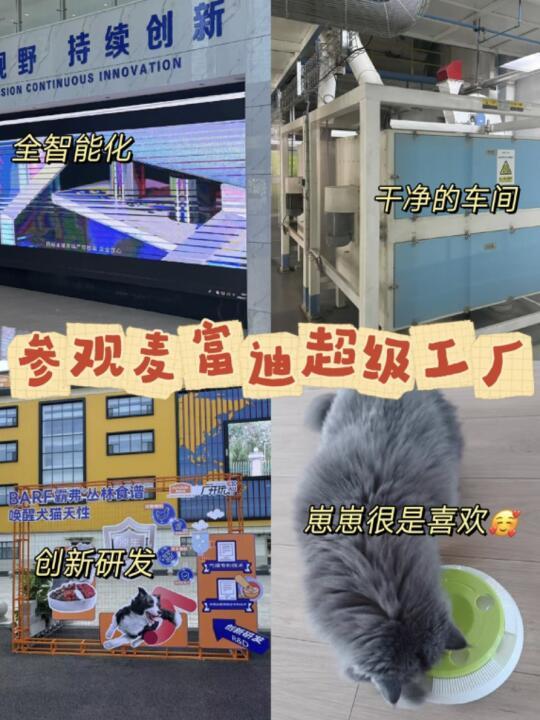 走进麦富迪工厂，我被狠狠拿捏了！