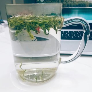 品一杯茗，思考一段人生！