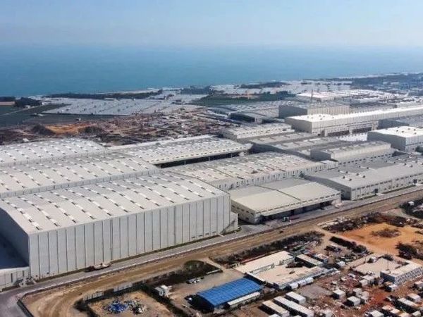 【头条】自然之选，生活之光——联盛浆纸与安德里茨共绘“森宝”生活新篇章