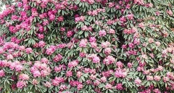 39.9元两套的儿童保暖内衣套装，你给孩子备好了吗？