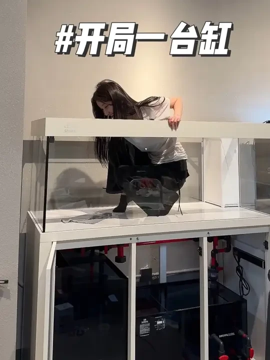 开局一台缸
快说养什么🐟💡#龙卷疯陈一#水鸦#开缸 #龙鱼缸#龙鱼