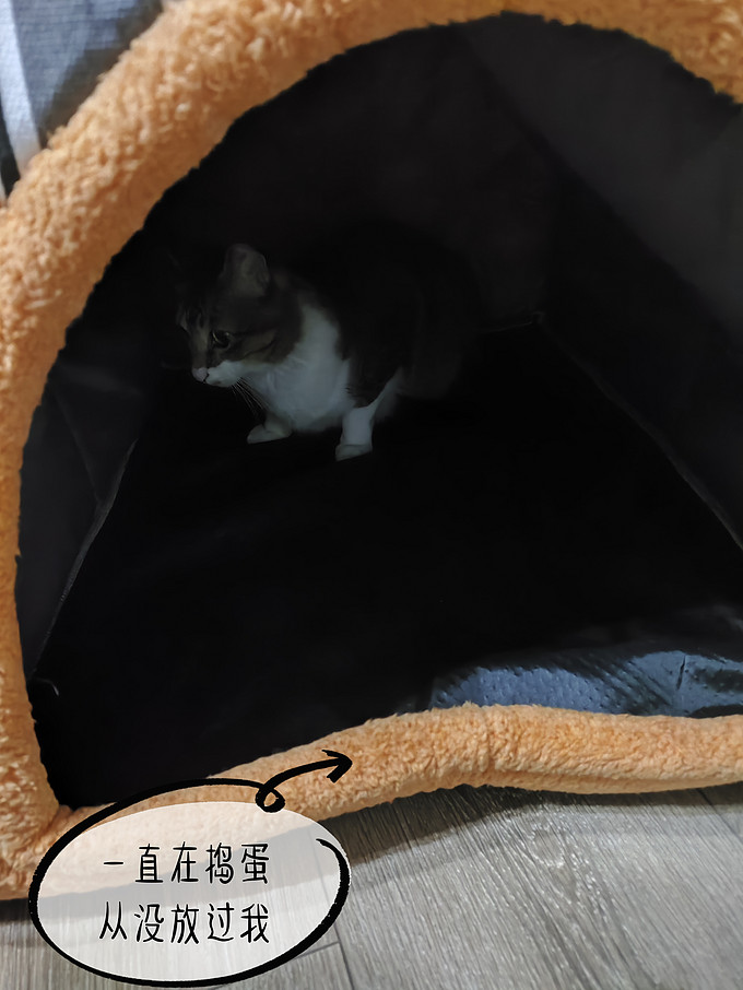 通用猫狗窝