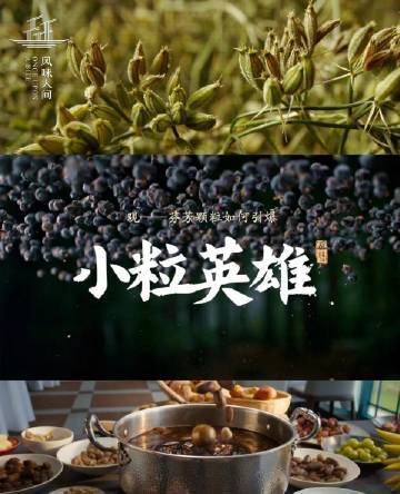 《风味人间5·香料传奇》超前点映：探寻美食背后的隐形英雄