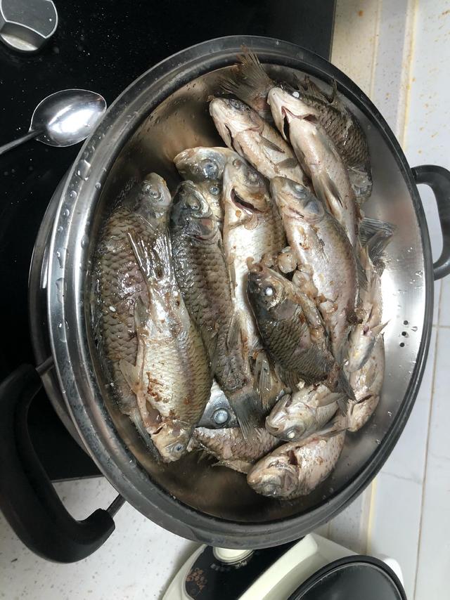 为什么大部分钓鱼佬冬天都封竿了呢？