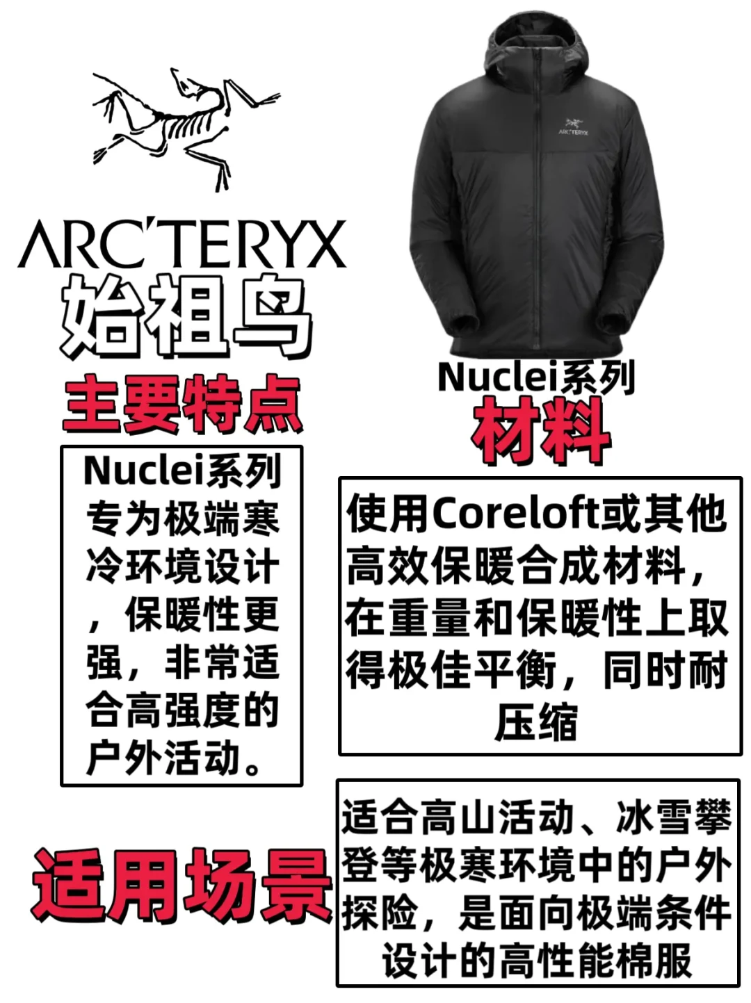 始祖鸟阿童木棉服:高科技保暖与性价比全解析