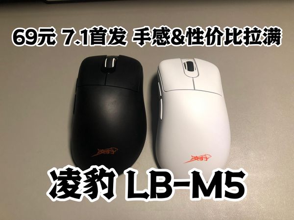 凌豹 LB-M5鼠标 - 69元 性价比首选！