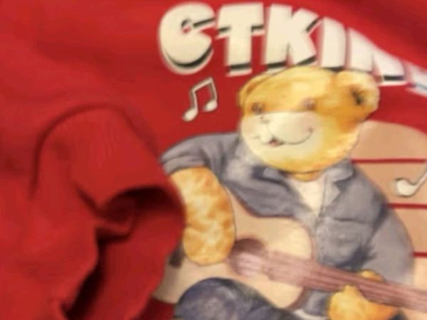 Classic Teddy精典泰迪童装儿童加绒卫衣