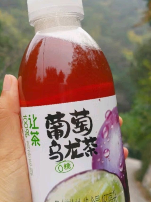 让茶侯明昊同款无糖葡萄乌龙果茶饮料0糖0脂450ml*15瓶整箱