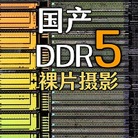 国产DDR5首次芯片拆解！Dieshot一窥技术进展