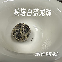 写在2024年最后一天。秧塔白茶龙珠，都是芽头啊，岂不快哉！