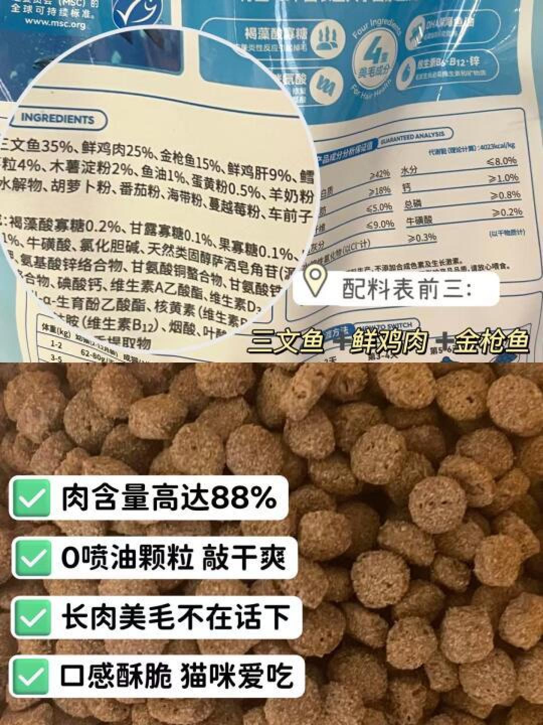 精选内容集|猫咪口粮大比拼 精选数款猫粮解析选择贴士